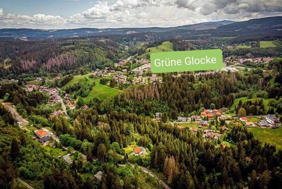 Grüne Glocke Daire Altenau  Dış mekan fotoğraf