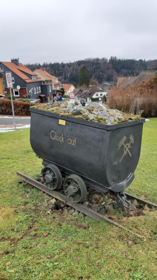 Grüne Glocke Daire Altenau  Dış mekan fotoğraf